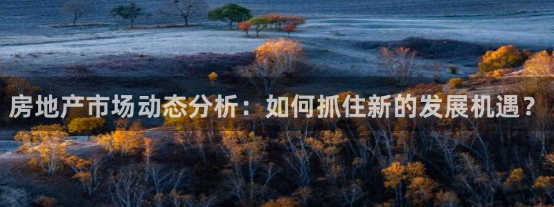 新宝5寂创33300散：房地产市场动态分析：如何抓住新的发展