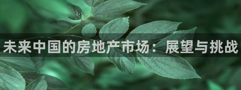 新宝5五：未来中国的房地产市场：展望与挑战