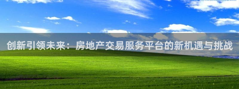 新宝rc_5w：创新引领未来：房地产交易服务平台的新机遇与挑