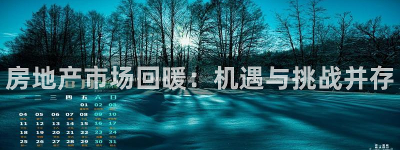 新宝5后：房地产市场回暖：机遇与挑战并存