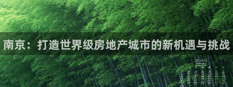 新宝新5：南京：打造世界级房地产城市的新机遇与挑战