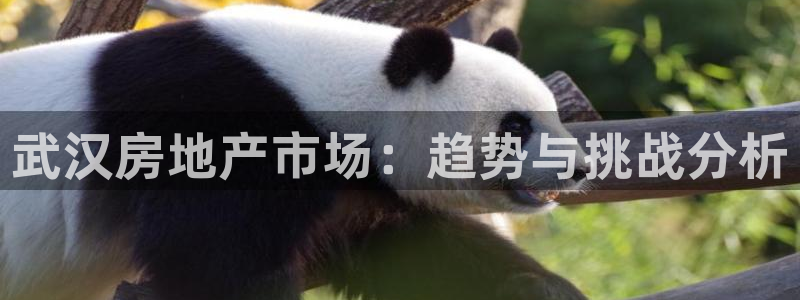 新宝5娱乐注册：武汉房地产市场：趋势与挑战分析