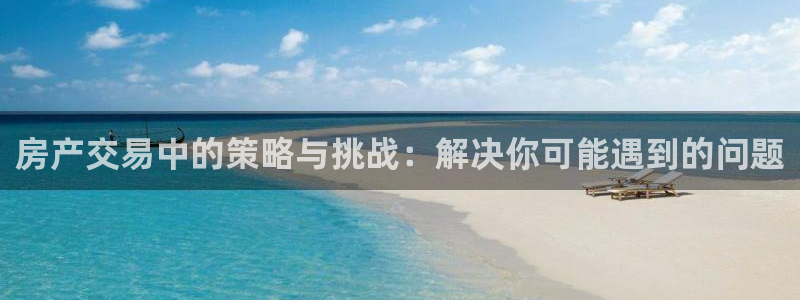 新宝5登录不了：房产交易中的策略与挑战：解决你可能遇到的问题