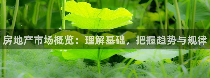 新宝5测速下载：房地产市场概览：理解基础，把握趋势与规律