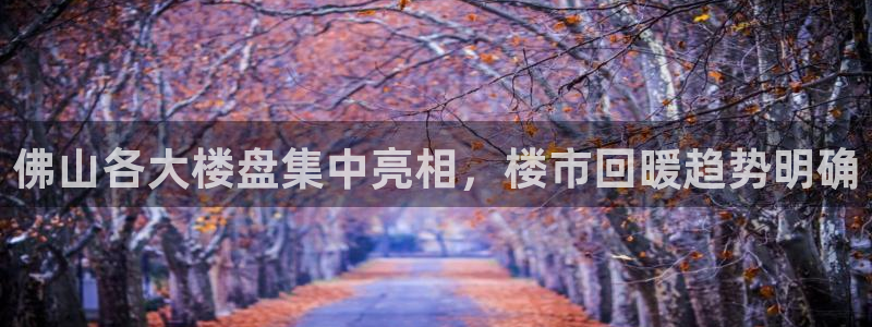 新宝5代理：佛山各大楼盘集中亮相，楼市回暖趋势明确