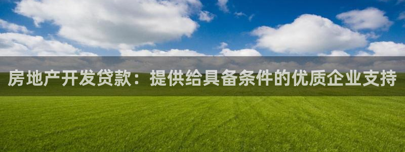 新宝5登陆：房地产开发贷款：提供给具备条件的优质企业支持