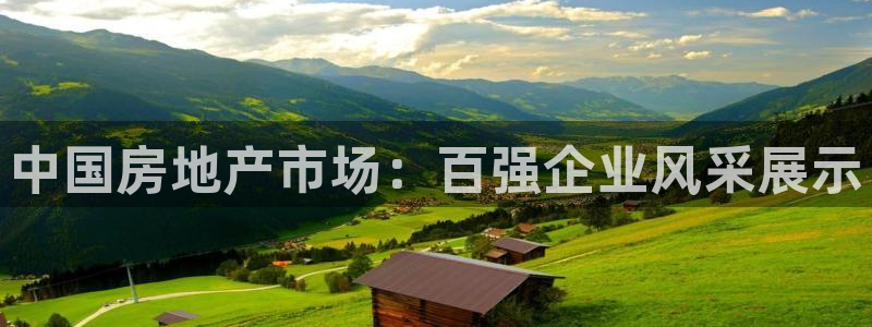 新宝5网：中国房地产市场：百强企业风采展示