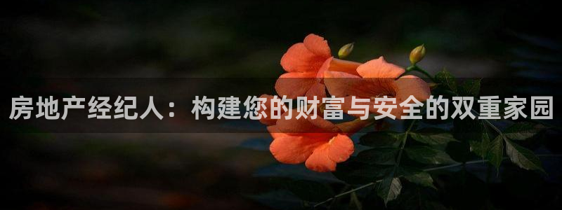 新宝5官网：房地产经纪人：构建您的财富与安全的双重家园