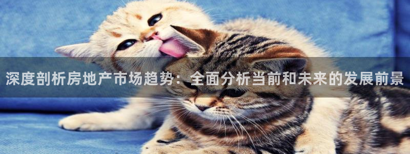 新5宝：深度剖析房地产市场趋势：全面分析当前和未来的发展前景