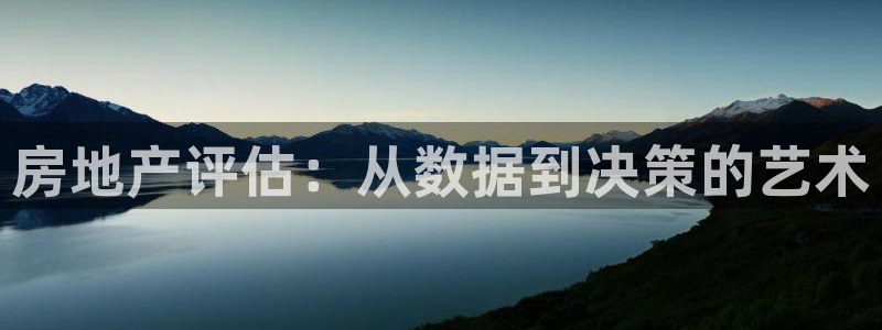 新宝5测速平台登录：房地产评估：从数据到决策的艺术