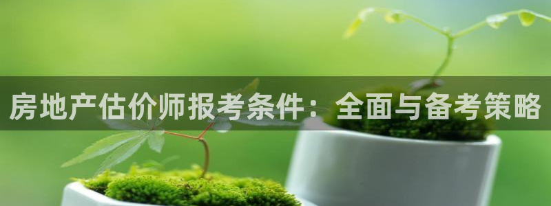 新宝5注册：房地产估价师报考条件：全面与备考策略