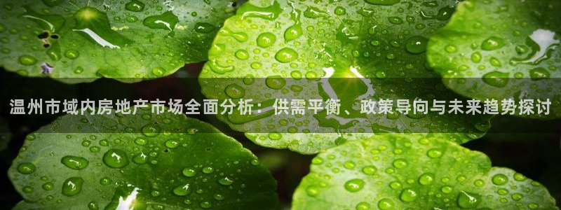 新宝5授权：温州市域内房地产市场全面分析：供需平衡、政策导向