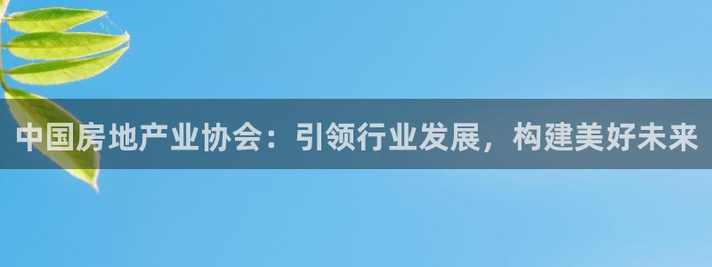 新宝5月：中国房地产业协会：引领行业发展，构建美好未来