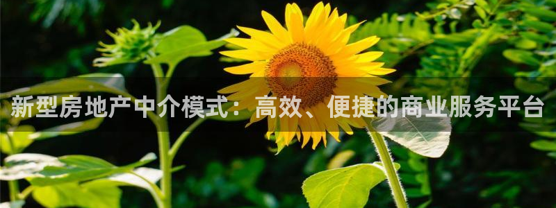新宝5娱乐同：新型房地产中介模式：高效、便捷的商业服务平台