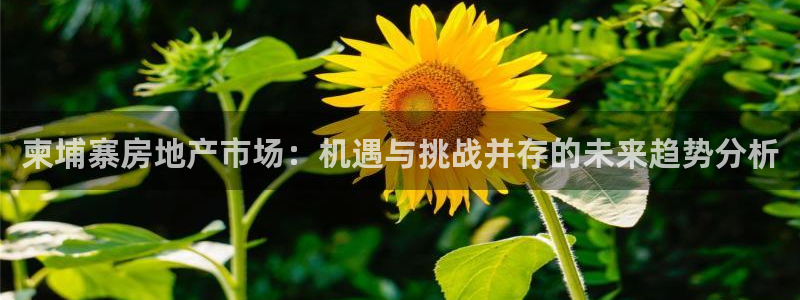 新宝5测速：柬埔寨房地产市场：机遇与挑战并存的未来趋势分析
