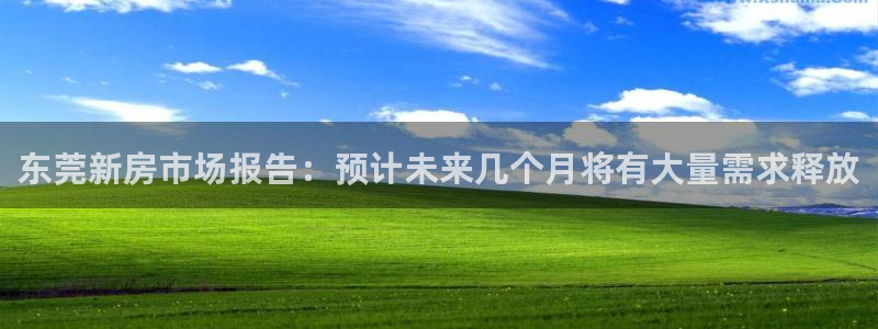 新宝5线路登录检测：东莞新房市场报告：预计未来几个月将有大量