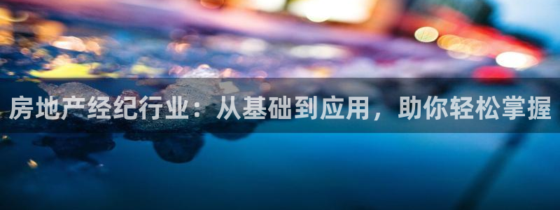 新宝5官方网站：房地产经纪行业：从基础到应用，助你轻松掌握