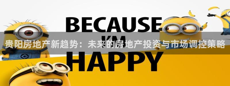 新宝5系列：贵阳房地产新趋势：未来的房地产投资与市场调控策略
