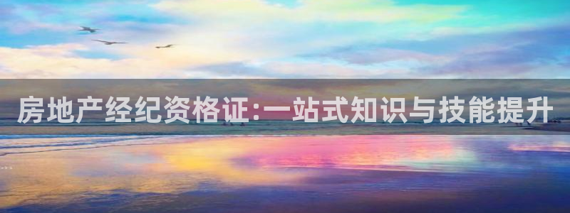 新宝娱乐5：房地产经纪资格证:一站式知识与技能提升