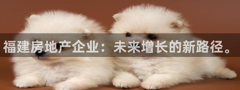新宝5郑74OOO5：福建房地产企业：未来增长的新路径。
