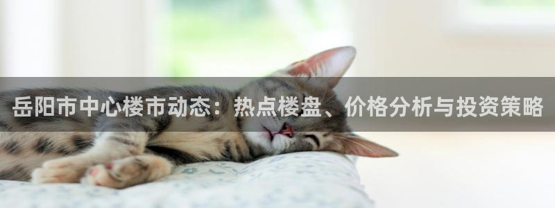 新宝5电脑：岳阳市中心楼市动态：热点楼盘、价格分析与投资策略