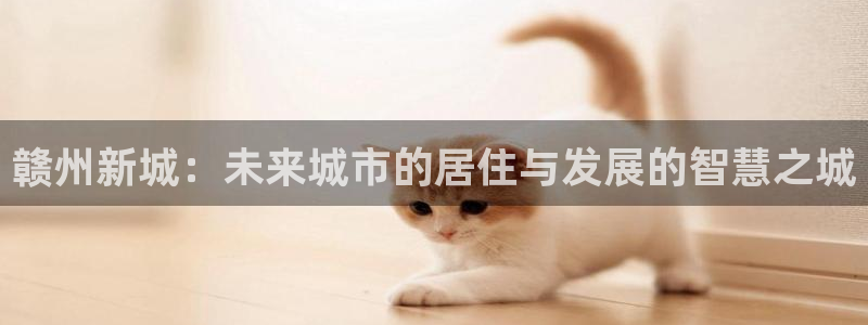 新宝5源码：赣州新城：未来城市的居住与发展的智慧之城