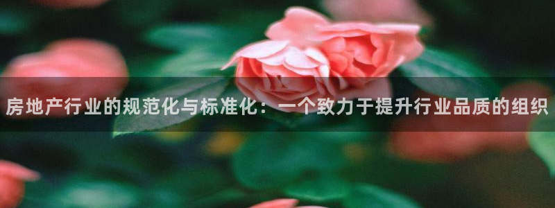 新宝5手机登录：房地产行业的规范化与标准化：一个致力于提升行
