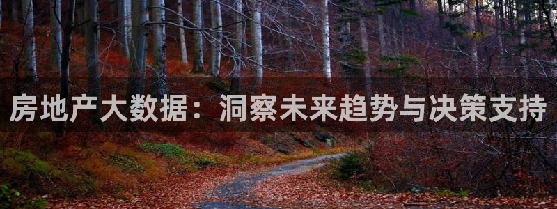 新宝5天：房地产大数据：洞察未来趋势与决策支持