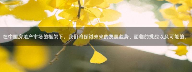 新宝5苹果手机下载：在中国房地产市场的框架下，我们将探讨未来
