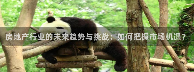新宝5：房地产行业的未来趋势与挑战：如何把握市场机遇？
