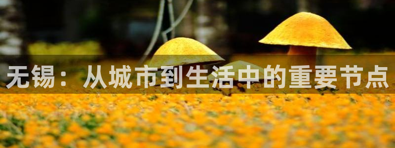 新宝5官方网站：无锡：从城市到生活中的重要节点