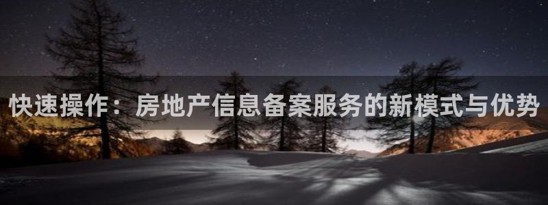 新宝5公司：快速操作：房地产信息备案服务的新模式与优势