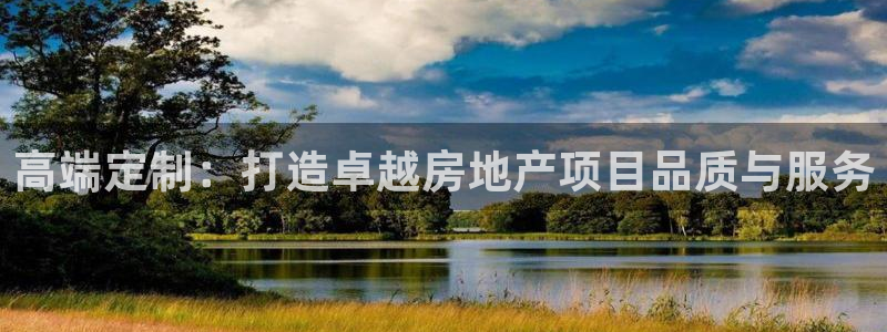 新宝5上70 667：高端定制：打造卓越房地产项目品质与服务