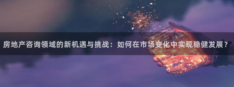 新宝5如何注册登录：房地产咨询领域的新机遇与挑战：如何在市场