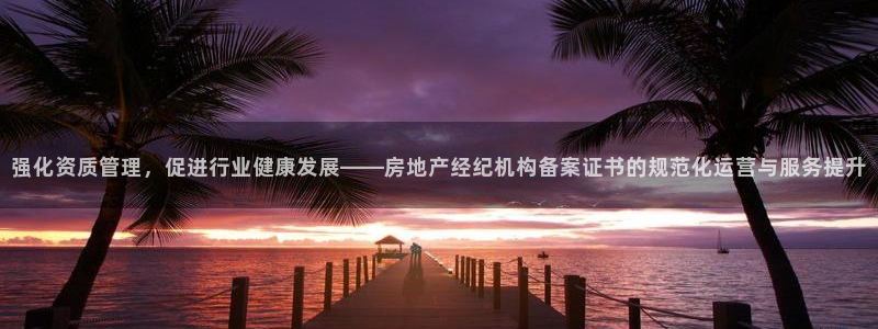 新宝5娱乐主管：强化资质管理，促进行业健康发展——房地产经纪