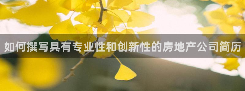 新宝5网：如何撰写具有专业性和创新性的房地产公司简历