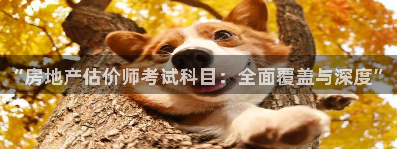 新宝5测速登录：“房地产估价师考试科目：全面覆盖与深度”