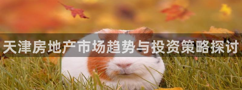 新宝5平台：天津房地产市场趋势与投资策略探讨