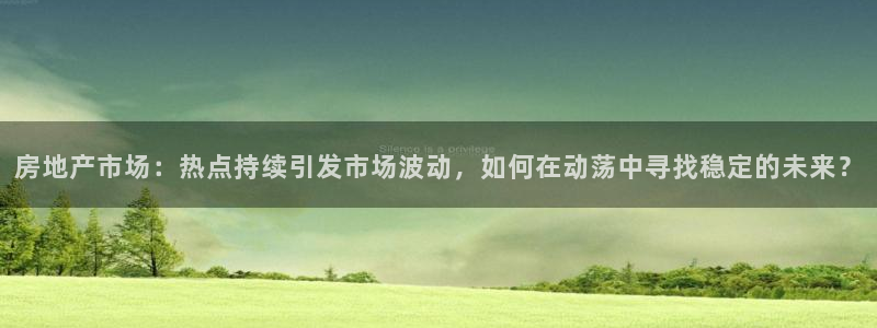 新宝5官网：房地产市场：热点持续引发市场波动，如何在动荡中寻
