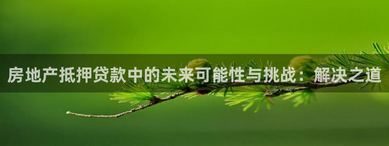 新宝5玩法：房地产抵押贷款中的未来可能性与挑战：解决之道