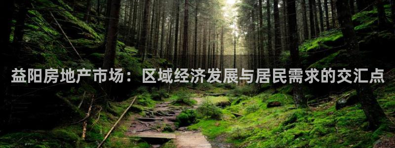 新宝5开好：益阳房地产市场：区域经济发展与居民需求的交汇点