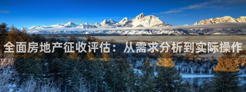 新宝cR一5：全面房地产征收评估：从需求分析到实际操作