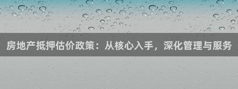 新宝集团新宝5：房地产抵押估价政策：从核心入手，深化管理与服