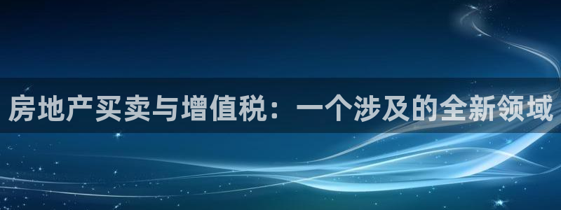 新宝那2O5O5O：房地产买卖与增值税：一个涉及的全新领域