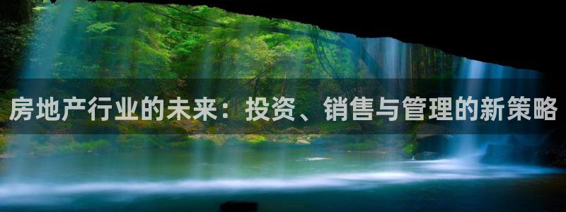 新宝5彩票是正规平台吗：房地产行业的未来：投资、销售与管理的