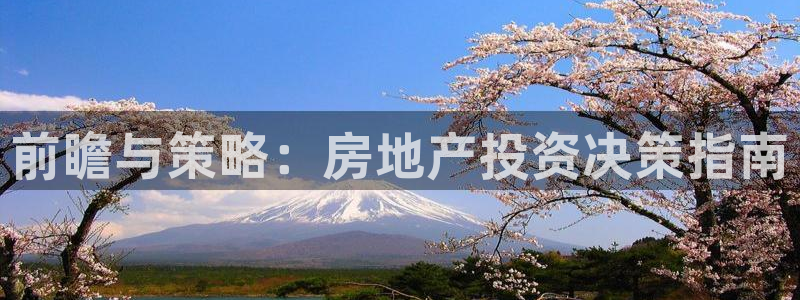 新宝5是谁：前瞻与策略：房地产投资决策指南