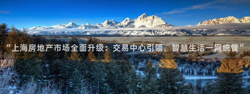 新宝5下载app：“上海房地产市场全面升级：交易中心引领，智
