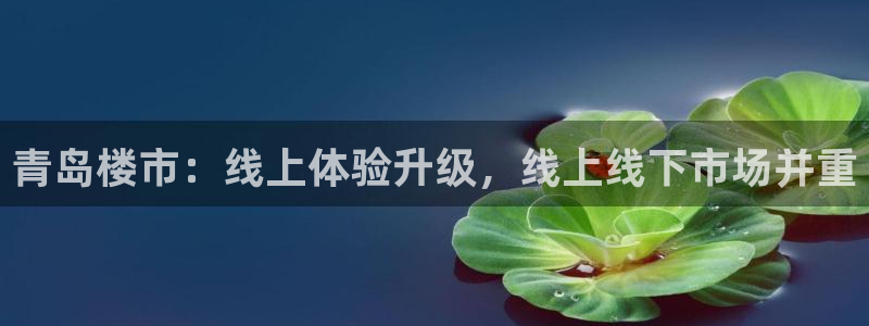 新宝5注册测速登录：青岛楼市：线上体验升级，线上线下市场并重