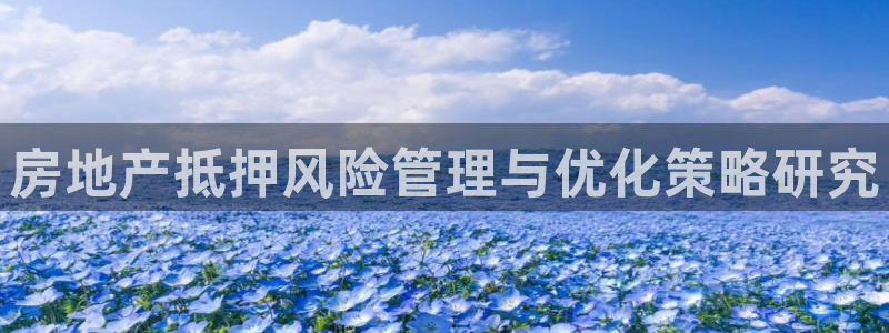 新宝5娱乐登录：房地产抵押风险管理与优化策略研究