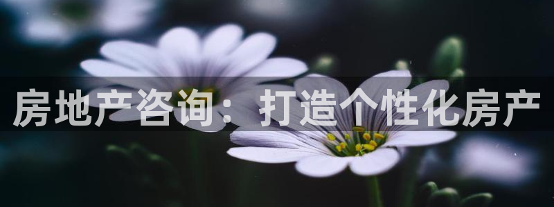 新宝5登录入口网址：房地产咨询：打造个性化房产